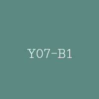 Y07-B1