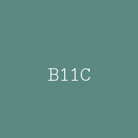 B11C