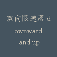 双向限速器 downward and upward action speed governor