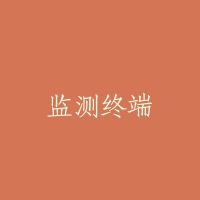 监测终端