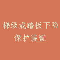 梯级或踏板下陷保护装置