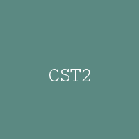 CST2