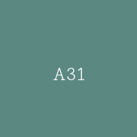 A31