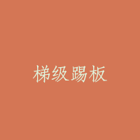 梯级踢板