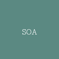 SOA