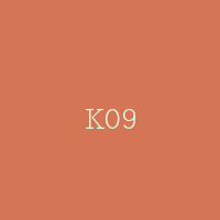 K09