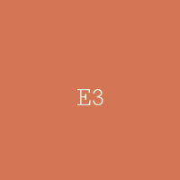 E3