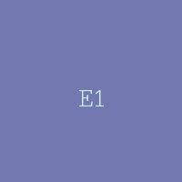 E1