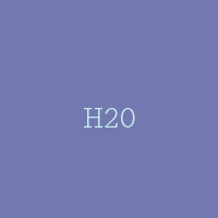H20