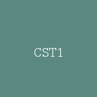 CST1