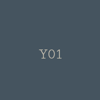 Y01