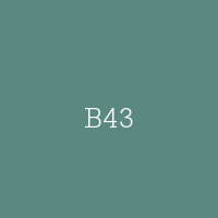 B43