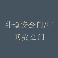 井道安全门/中间安全门