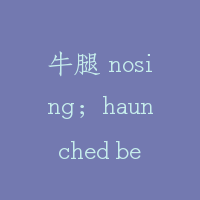 牛腿 nosing；haunched bearm