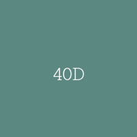 40D