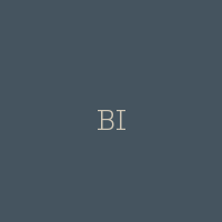 BI