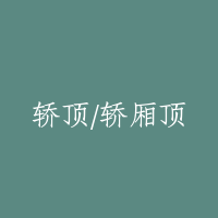 轿顶/轿厢顶