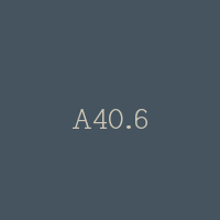 A40.6
