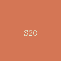 S20