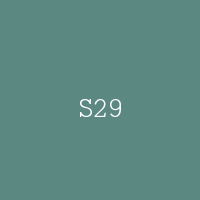 S29