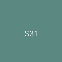 S31
