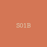 S01B