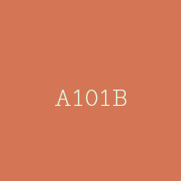 A101B
