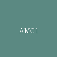 AMC1