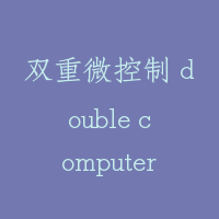 双重微控制 double computers control