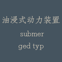 油浸式动力装置 submerged type power unit