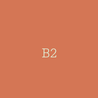 B2