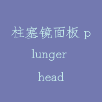 柱塞镜面板 plunger head