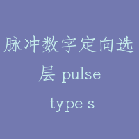 脉冲数字定向选层 pulse type selector
