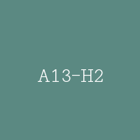 A13-H2