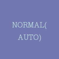 NORMAL(AUTO)