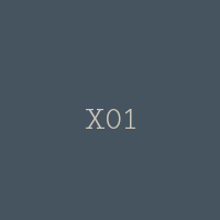 X01