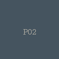 P02