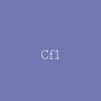 Cf1