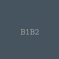 B1B2