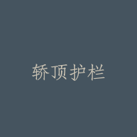 轿顶护栏