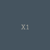 X1