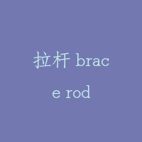 拉杆 brace rod