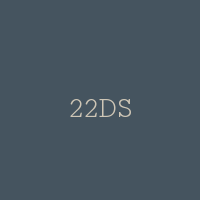 22DS