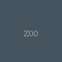 Z00