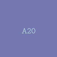 A20
