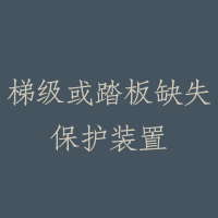 梯级或踏板缺失保护装置