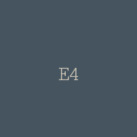 E4