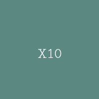 X10