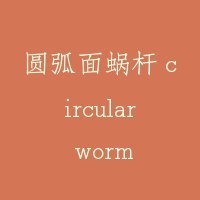 圆弧面蜗杆 circular worm