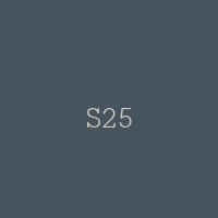 S25